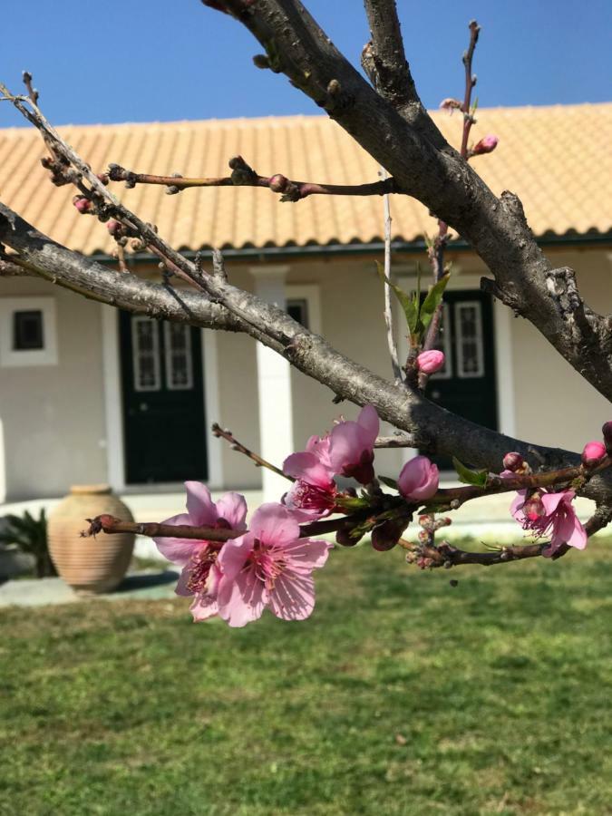 Tamaris Beach House Acharavi  Exterior foto